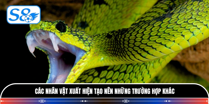 Các nhân vật xuất hiện tạo nên những trường hợp khác