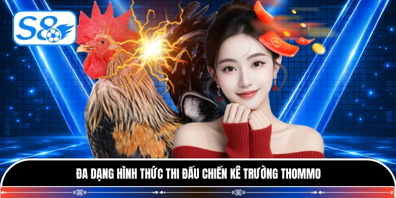 Đa dạng hình thức thi đấu chiến kê trường Thommo