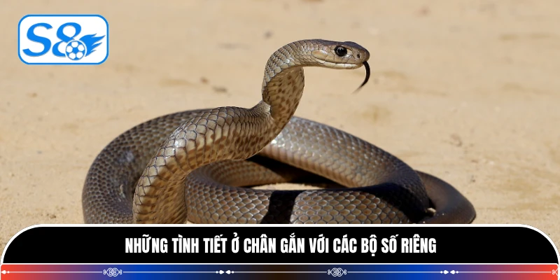 Những tình tiết ở chân gắn với các bộ số riêng