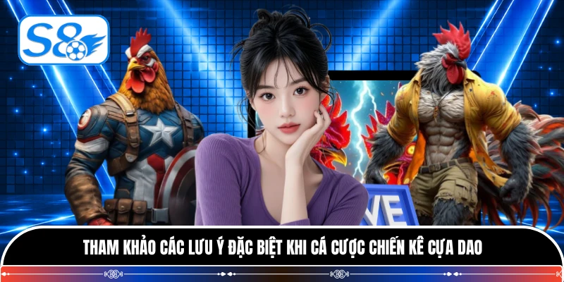 Tham khảo các lưu ý đặc biệt khi cá cược chiến kê cựa dao
