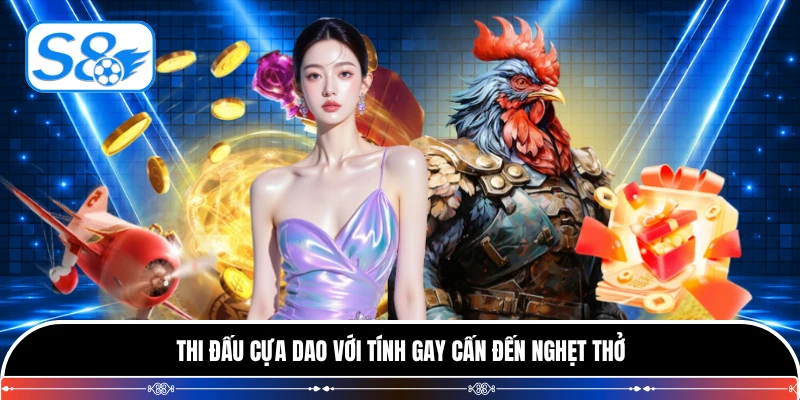 Thi đấu cựa dao với tính gay cấn đến nghẹt thở
